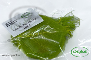 Frunze Voal Verde Aple Green - Img 2