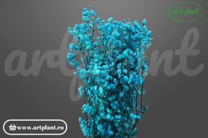Gypsophila Blue Turquoise