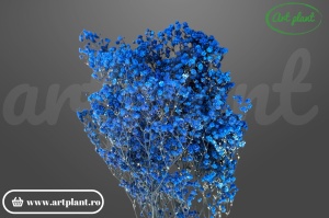 Gypsophila criogenată Albastru închis