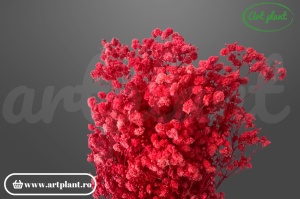 Gypsophila Roșie criogenată, buchet 100-130g, roșu intens pasional pentru Valentine's Day și aranjamente romantice