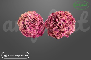 ortensie stabilizată Fuchsia Antique, floare naturală premium din Ecuador