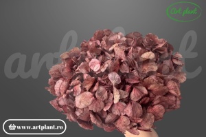 Hortensie stabilizata Pink Antique