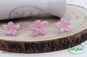 Jasmine Pink