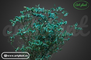 Limonium Blue