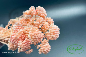 Lona light pink - Img 1