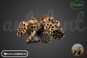 Lotus 4-6cm natural&glitter