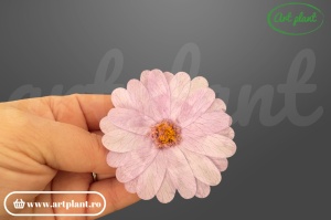 Margarete criogenate mauve