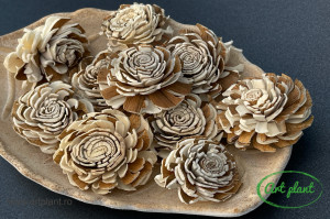 Ming natur / maro 4-5 cm