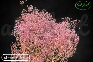 Mini gypsophila roz-lila