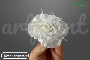 Mini Rose Romantic stabilizate Albe din Ecuador, Ø 4–5 cm • Înălțime 2–2.3 cm, 12 buc