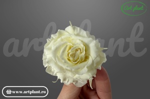 Mini Rose Romantic stabilizate Light Yellow