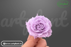mini rose romantic stabilizate lila flori delicate pentru aranjamente