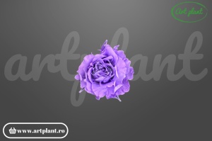 Mini Rose Romantic stabilizate Mov Lila din Ecua