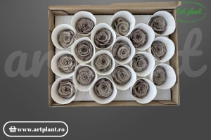 Mini Roze Capucino Cho89 - Img 2