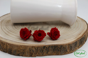 Mini Roze Rosu Red02 - Img 3
