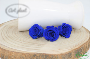 Mini Roze Warmi Albastru Blu03 - Img 2