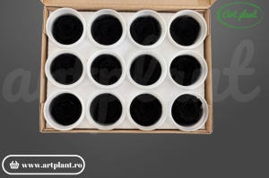 mini trandafiri stabilizați Warmi Black – buchet compact de lux