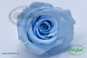 Mini Roze Warmi Bleo Blu89 - Img 2