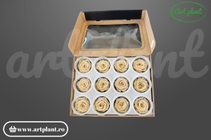Mini Roze Warmi Caramel Toff 01