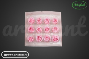 Miniroze Criogenate Bridal Pink S - Img 2