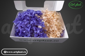Mix Hortensie Stabilizată – Set cu 2 Culori Naturale - Img 2