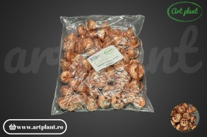 Nasturi eucalipt bronz - Img 2