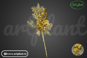 Pick floral Eucalipt & bace – champagne - Img 2