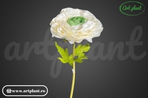 Ranunculus artificial gigant 138 cm – crem - Img 1