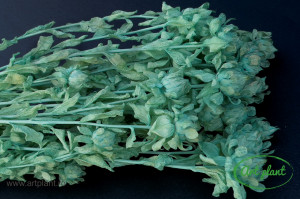 Sofran Verde Mint - Img 1