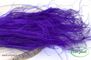 Stipa Violet ( Purple) - Img 2