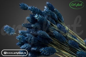 Talaris blu (dark) (G)