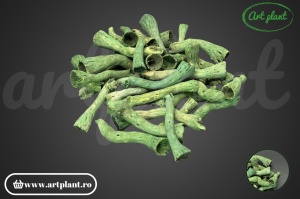 Topy verde inchis