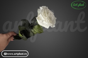 Trandafir criogenat Alb Whi01 cu tijă, 30 cm