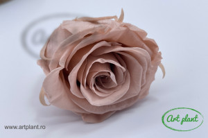Trandafir criogenat Antique Pink L - Img 3