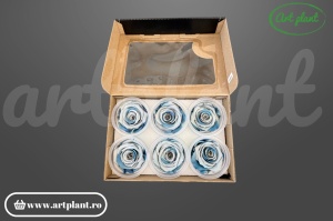 Cutie 6 trandafiri stabilizați L albastru Blu05, producător Rose Amor Ecuador, Art Plant