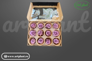 Trandafir criogenat L Lila VIO03, floare naturală conservată pentru aranjamente florale