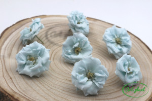 Trandafir criogenat sălbatic light blue