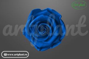 Trandafiri Criogenati 6cm Albastru Regal.