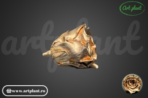 Trandafiri Criogenati L Metallic Gold Whi04 - Img 3