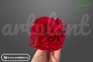 Trandafiri Criogenati Romantic Rosu
