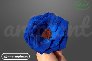 anemonă stabilizată albastru regal floare naturală pentru decoruri sofisticate