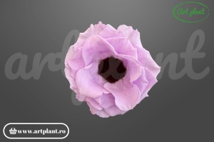 Anemonă stabilizată lila cu centru închis, floare naturală conservată Art Plant