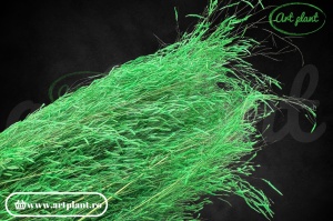Briza segro verde