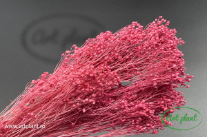 Broom criogenat mauve