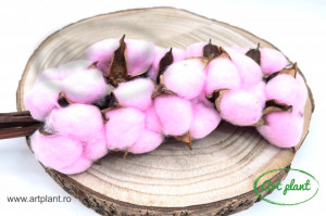 Buchet Bumbac Pink