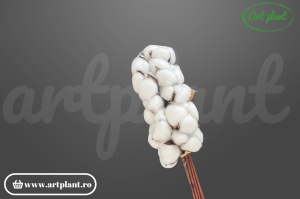 Bumbac Natural decorativ, 10 fire cu capsule albe, pentru aranjamente rustice boho și decoruri farmhouse