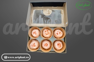Bujor stabilizat natural din Ecuador, diametru 5 cm, înălțime 4 cm, 1 bucată