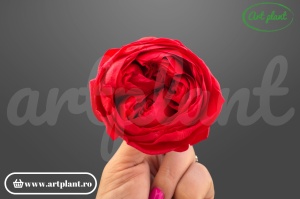 Bujor criogenat Roșu Deschis – floare stabilizată natural | Art Plant