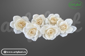 Capete bujor deschis sola 10cm