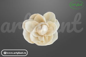 Cap camelie sola 8 cm cu petale simetrice în spirală, floare decorativă elegantă din lemn de sola
